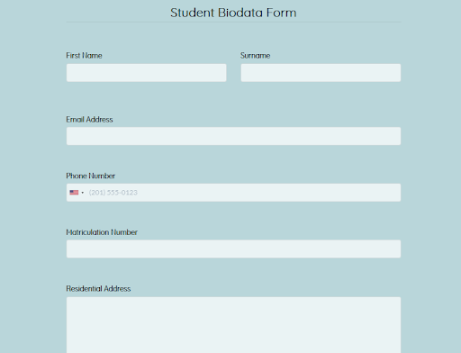 5 Types Of Biodata Examples Template Format