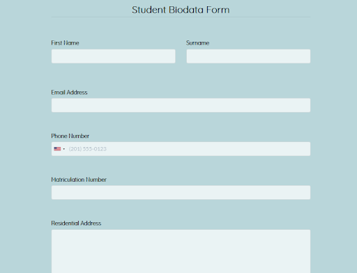 Bio Data Simple Format DocTemplates